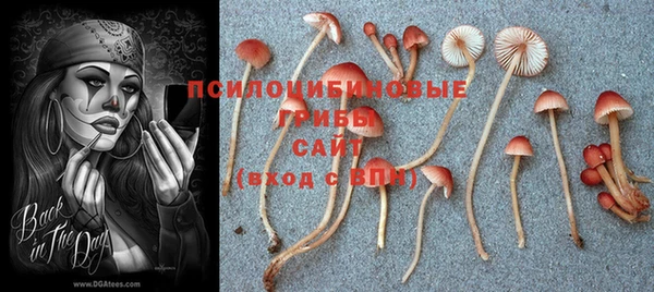спайс Новодвинск