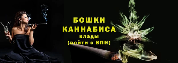 молекула духа Новозыбков
