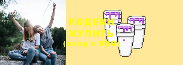 молекула духа Новозыбков