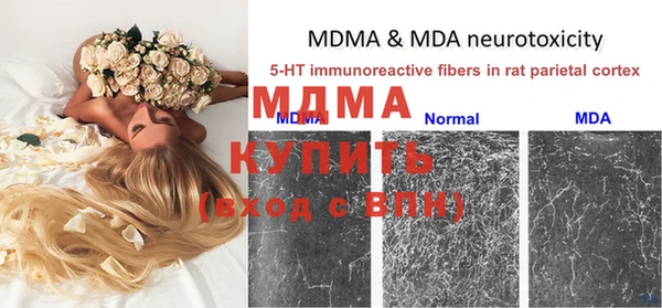 молекула духа Новозыбков