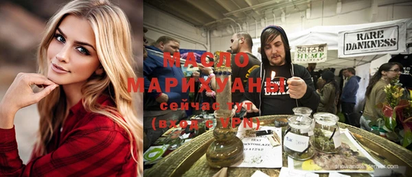 молекула духа Новозыбков