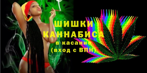 молекула духа Новозыбков