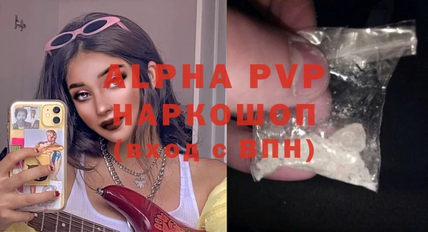 молекула духа Новозыбков
